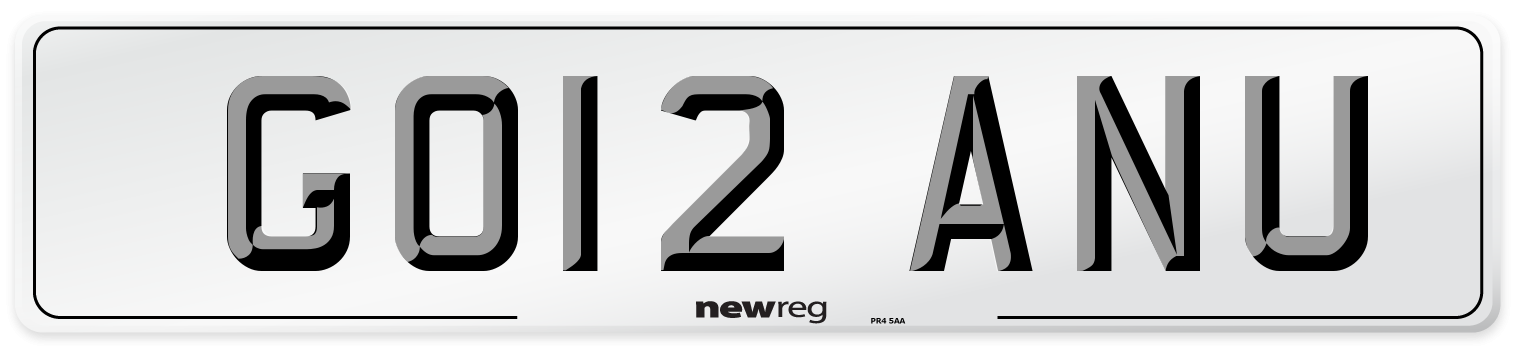 GO12 ANU Number Plate from New Reg
